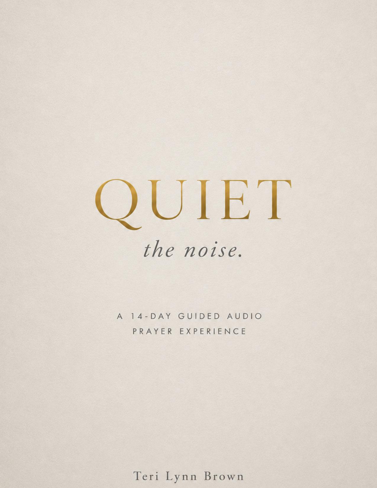 Quiet the Noise — cover by Teri Lynn Brown